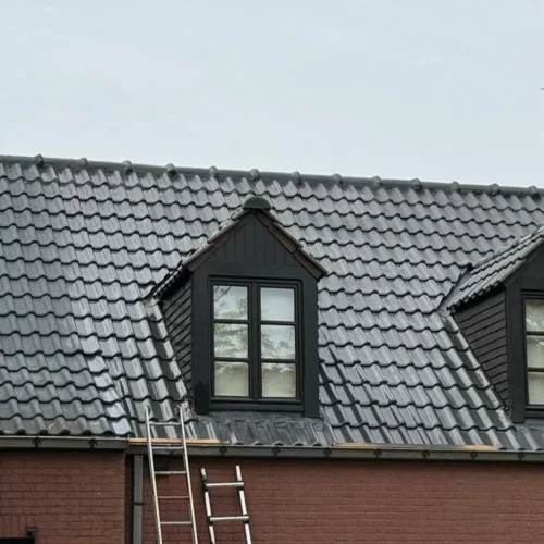 Démoussage de toitures Renovatie Lclean