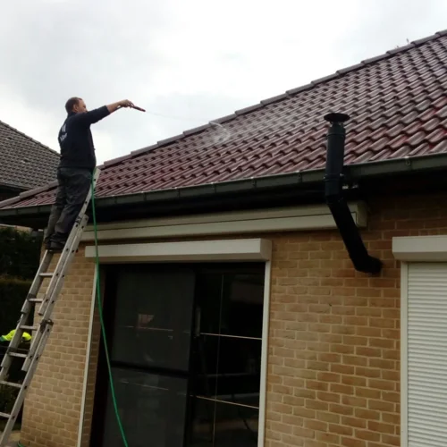 Démoussage de toitures Renovatie Lclean