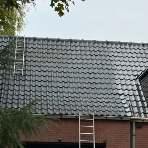 Démoussage de toitures Renovatie Lclean