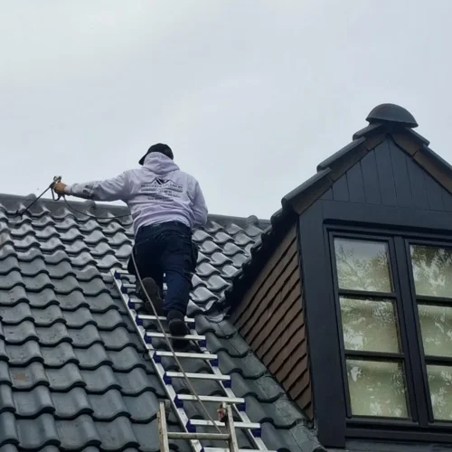 Démoussage de toitures Renovatie Lclean