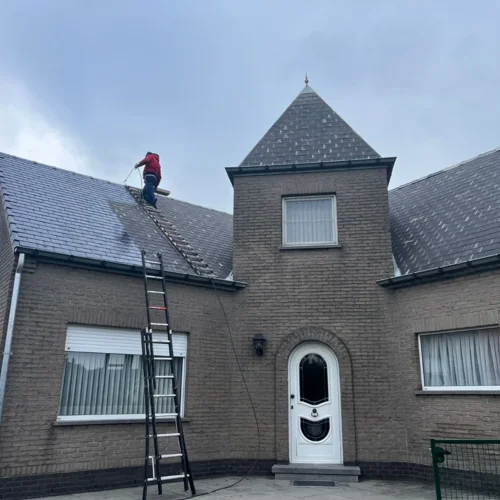 Démoussage de toitures Renovatie Lclean