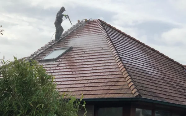 Démoussage de toitures Renovatie Lclean