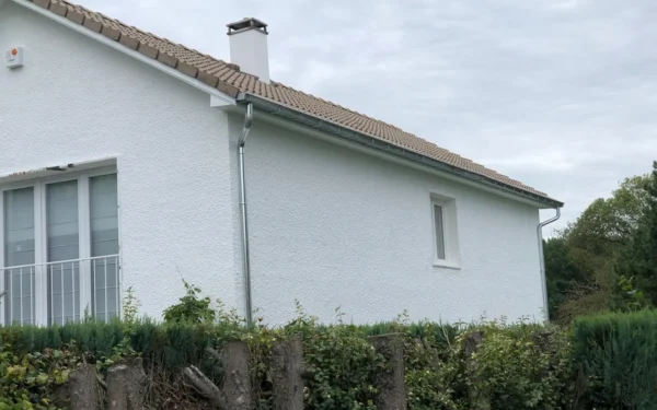 Dakgoten & Zinkwerken Renovatie Lclean