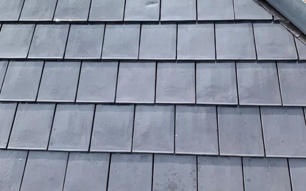 Ontmossen van daken Renovatie Lclean