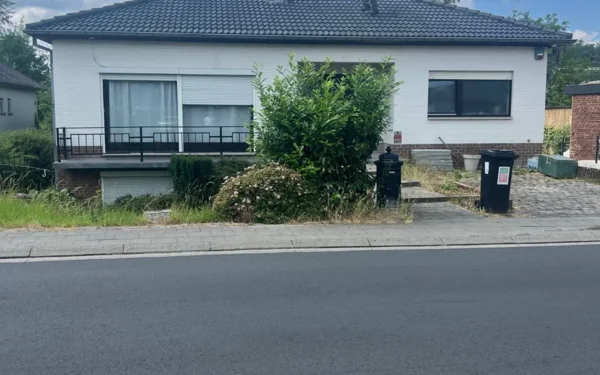 Démoussage de toitures Renovatie Lclean