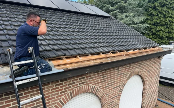 Dakgoten & Zinkwerken Renovatie Lclean