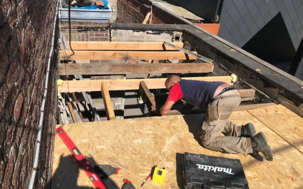 Toits plats Renovatie Lclean