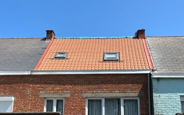 Hellende daken Renovatie Lclean