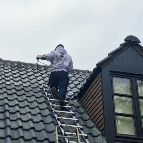 Ontmossen van daken Renovatie Lclean