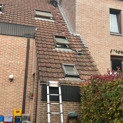 Hoekwoning met bruin pannendak en dakramen, ladder tegen de gevel