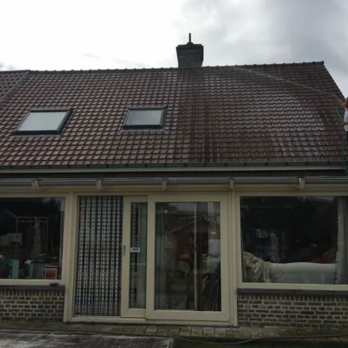 Ontmossen van daken Renovatie Lclean