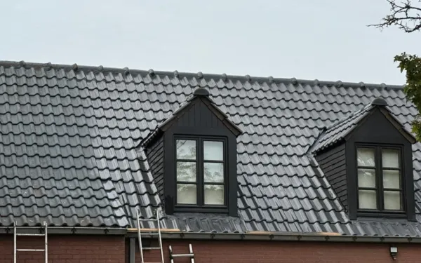Démoussage de toitures Renovatie Lclean