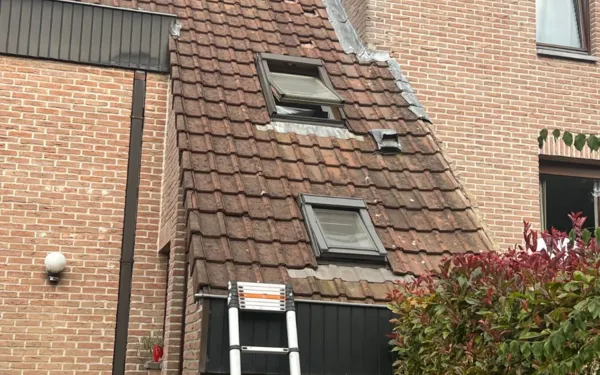 Hoekwoning met bruin pannendak en dakramen, ladder tegen de gevel