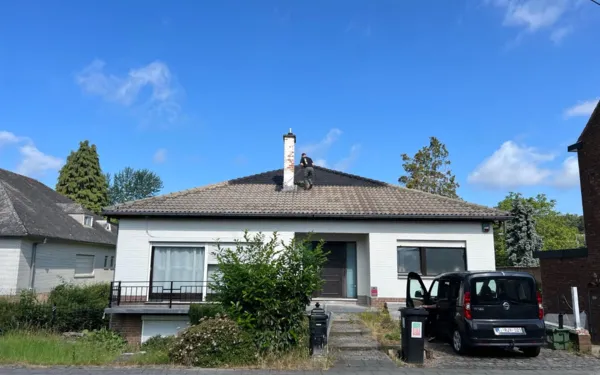 Ontmossen van daken Renovatie Lclean