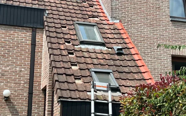 Rénovation de toiture Renovatie Lclean