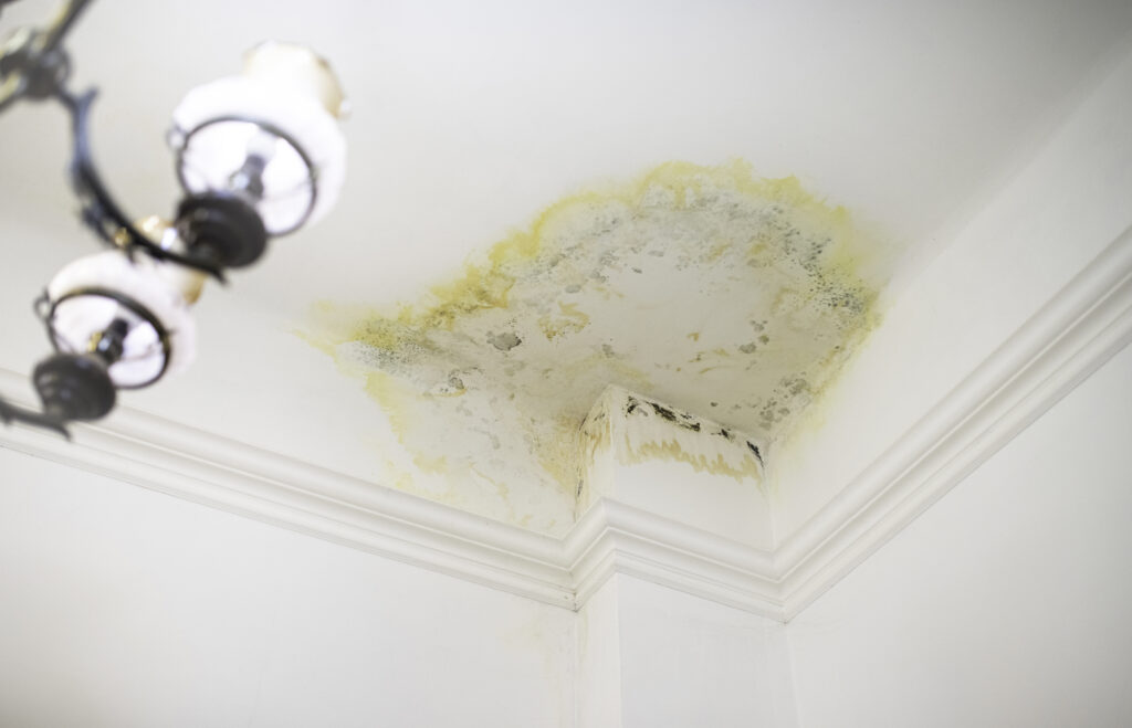 reparation appartement